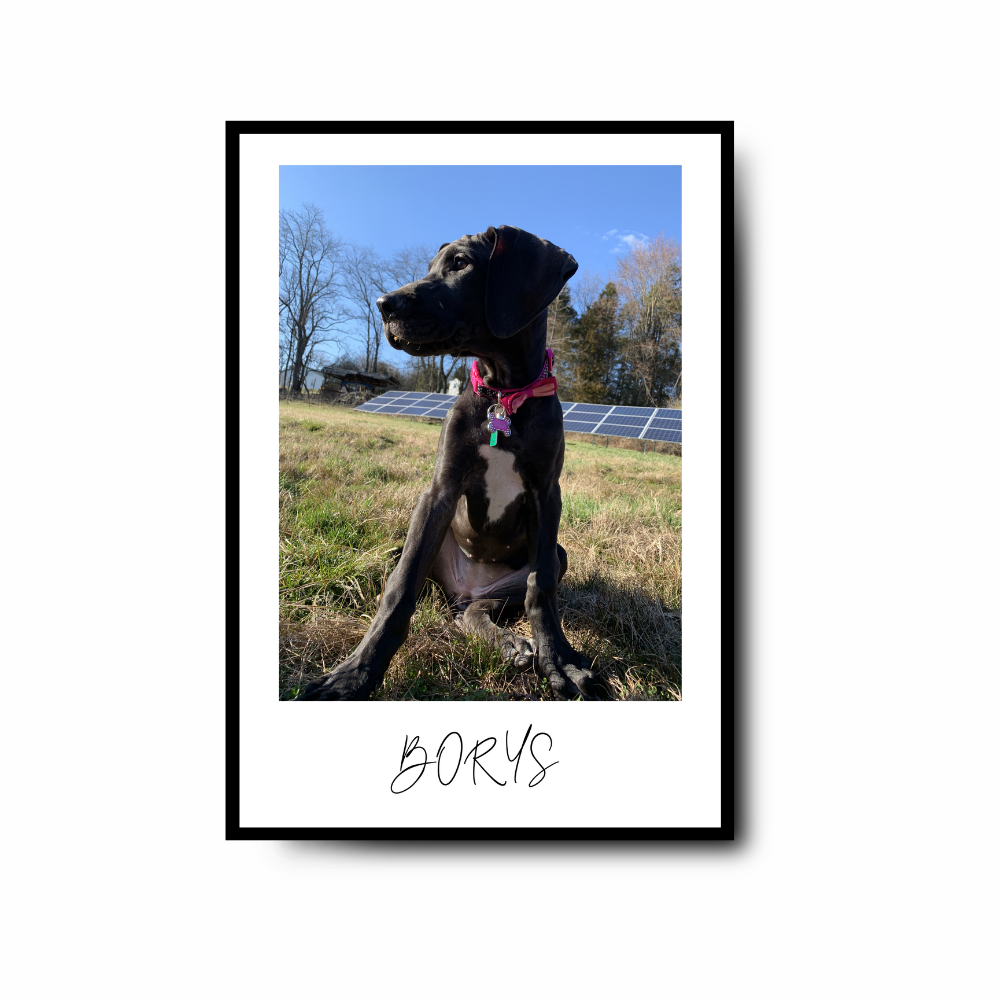 Plakat z Twoim pupilem